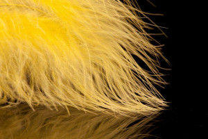 A. Jensen Blood Quill Marabou - yellow